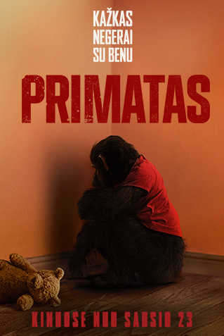 Primatas (PRIMATE)