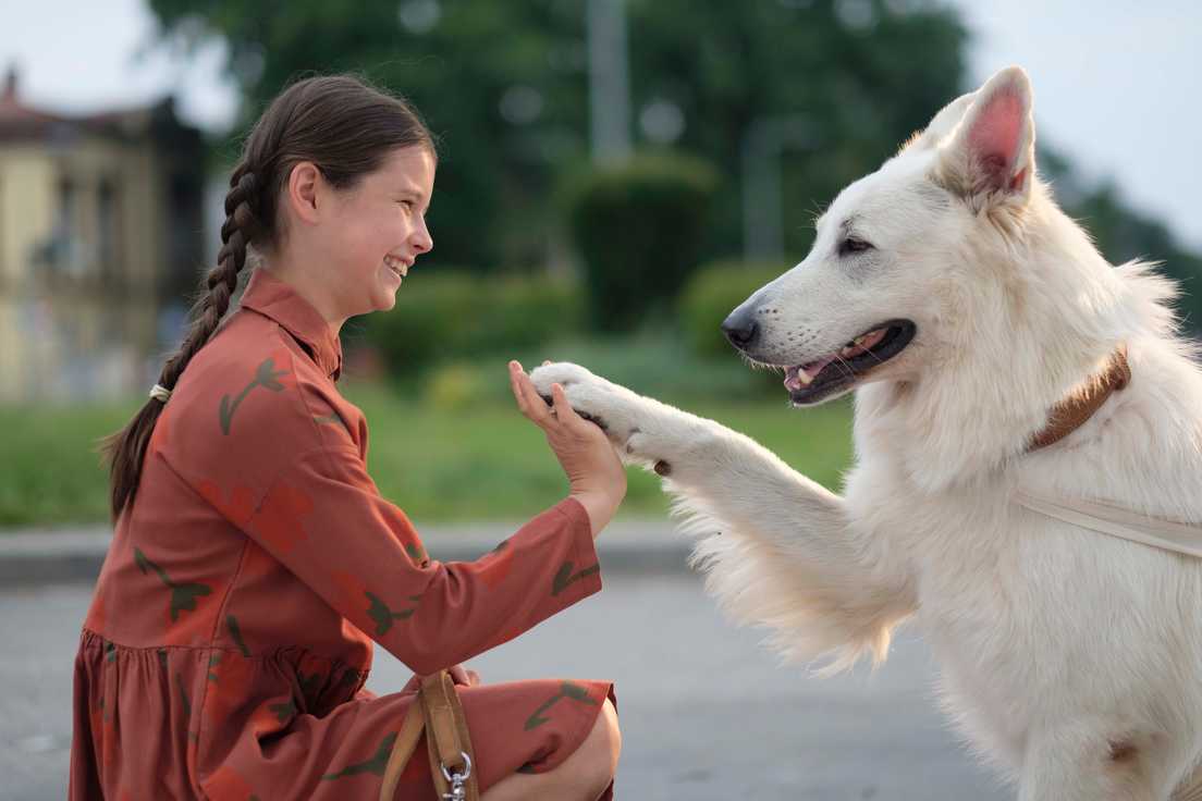 Lenkų kino festivalis'24 - APIE ŠUNĮ, KURIS KELIAVO TRAUKINIAIS (O PSIE, KTÓRY JEŹDZIŁ KOLEJĄ)