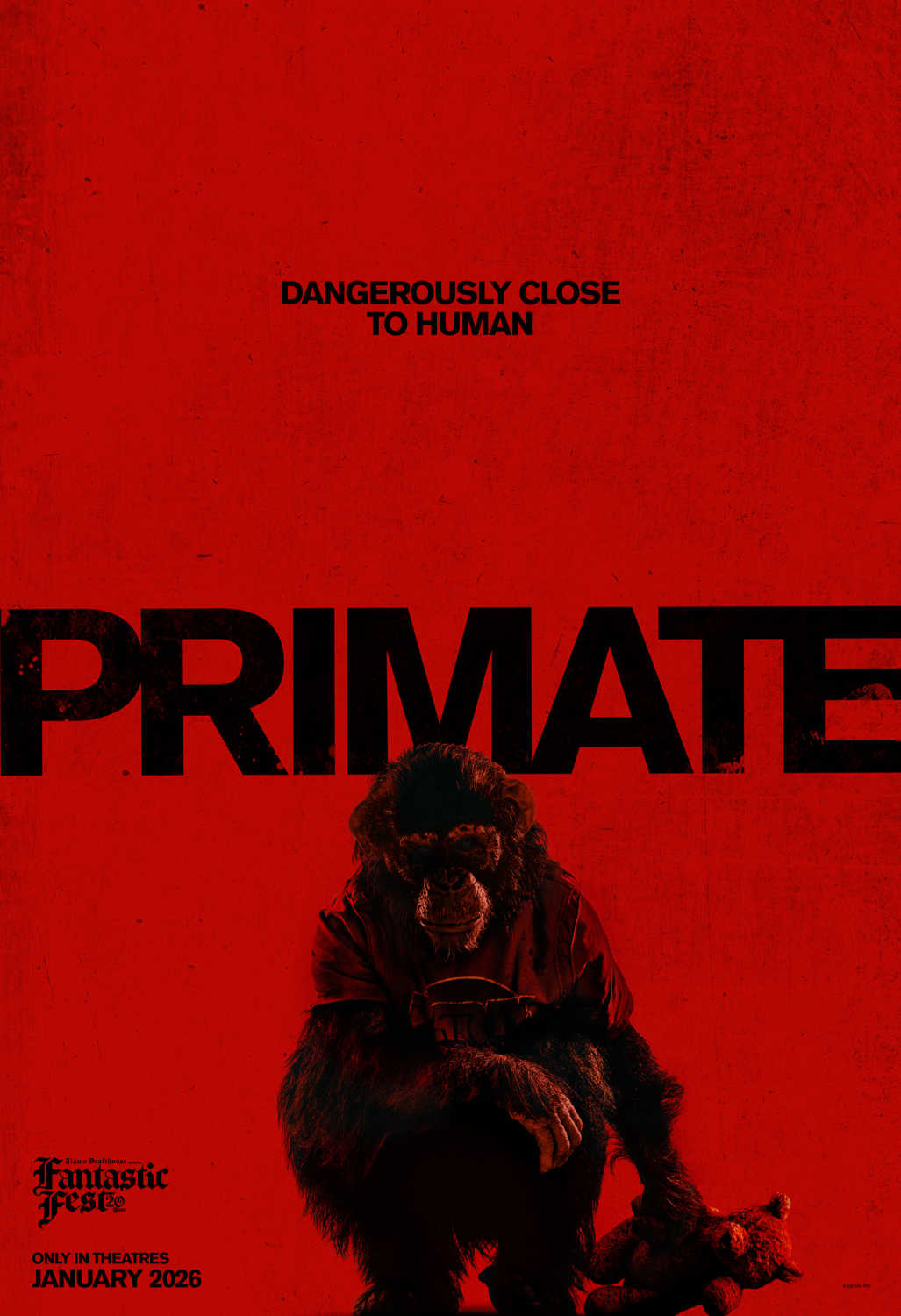 Primatas (PRIMATE)