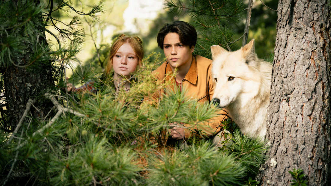 MIŠKŲ BASTŪNAI 2 ( Woodwalkers 2 )