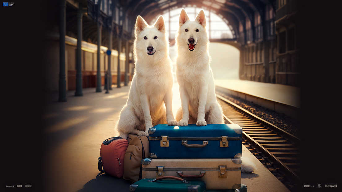 Šuo, kuris keliavo traukiniu 2 (Lampo The Travelling Dog 2)