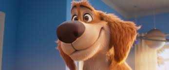 ČARLIS NUOSTABUSIS (Charlie The Wonderdog)