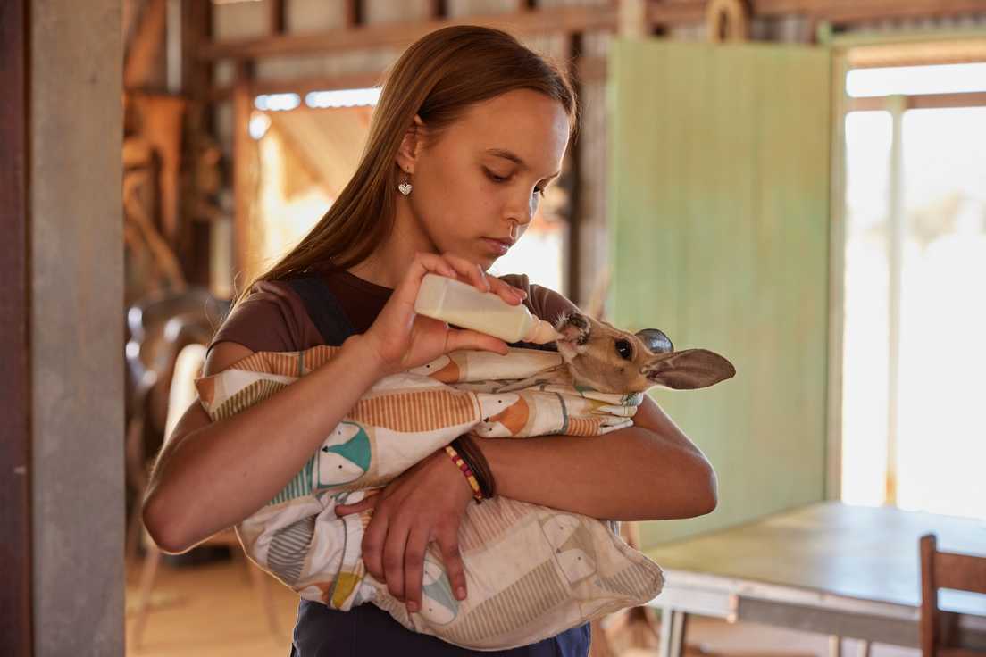 LĖJA IR KENGŪRIUKAS (Kangaroo)