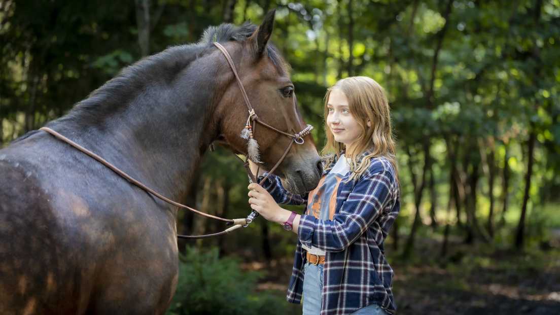 Laukinė širdis (Wild Heart)