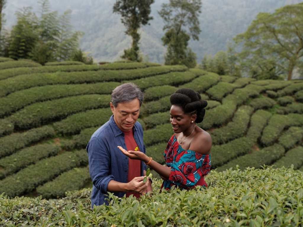 Juodoji arbata (Black Tea)