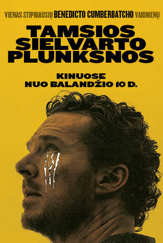 TAMSIOS SIELVARTO PLUNKSNOS (The Thing with Feathers)