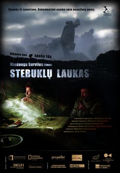 Stebuklų laukas