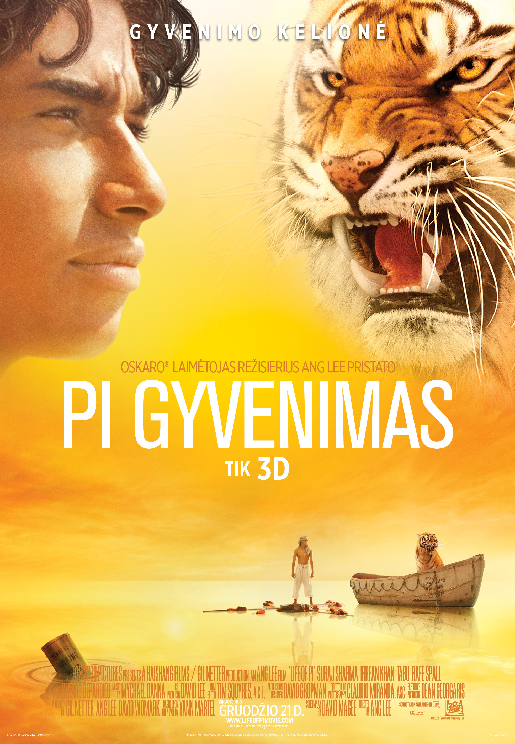 Pi gyvenimas 3D