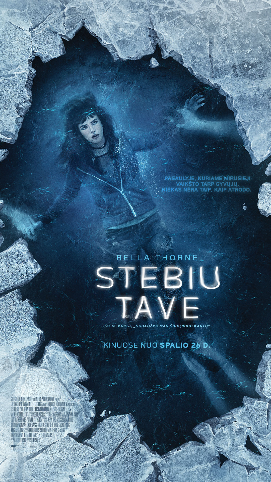 STEBIU TAVE (I still see you)