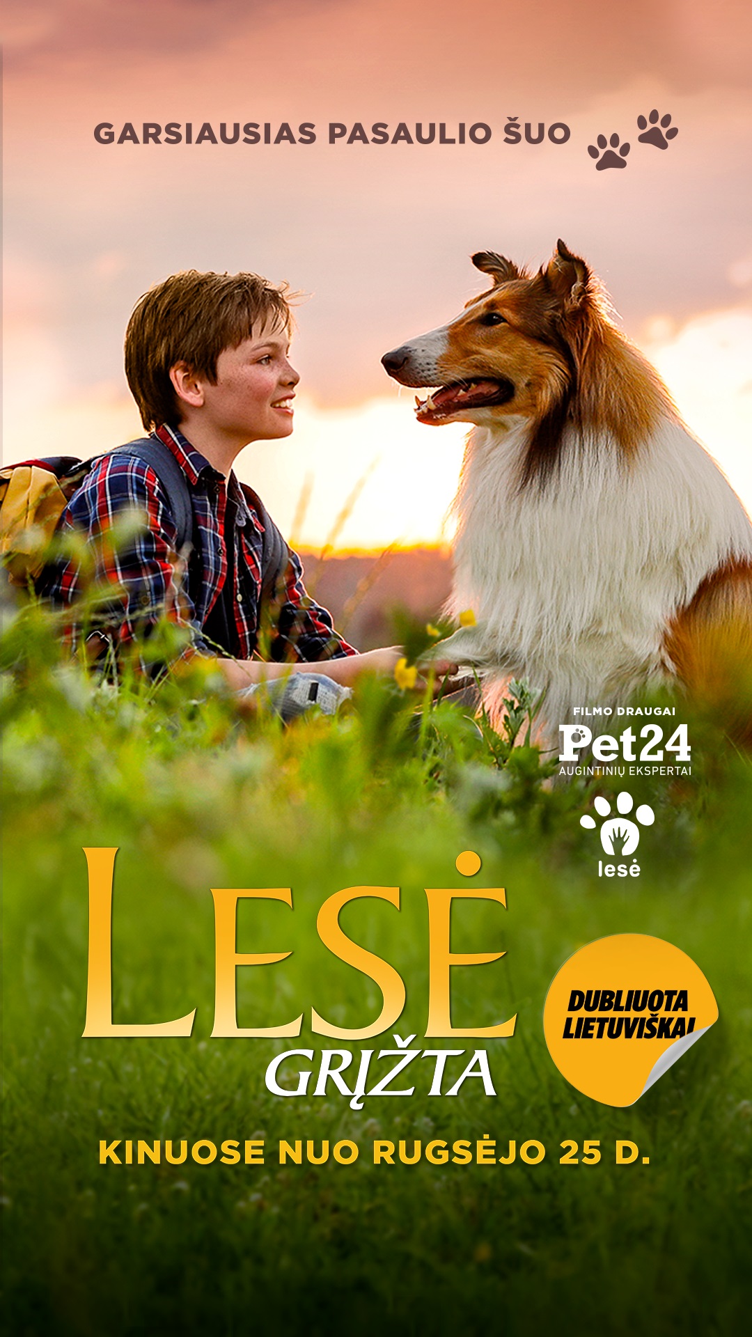LESĖ GRĮŽTA (Lassie)