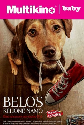 MultiBabyKino: Belos kelionė namo (Dog's Way Home)