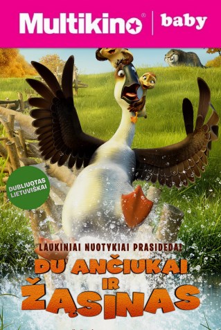 MultiBabyKino: Du ančiukai ir žąsinas (Duck duck goose)