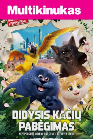 Multikinukas: DIDYSIS KAČIŲ PABĖGIMAS (CATS)