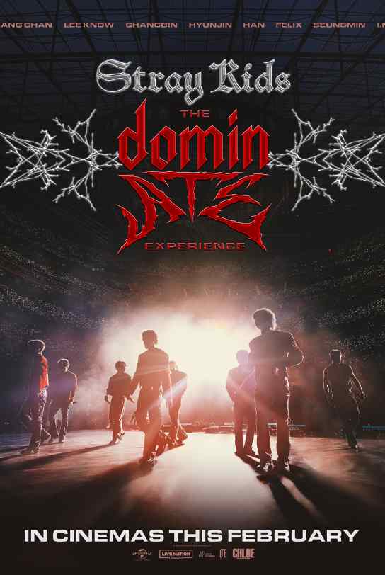 STRAY KIDS: THE DOMINATE EXPIERENCE